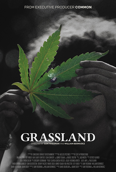 Film Review: Grassland Is A Stunner