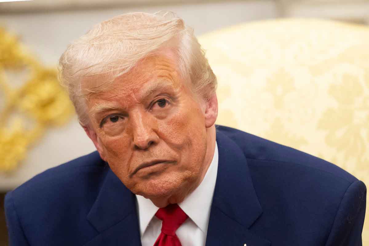 Elon Musk: (Photo Agency/shutterstock.com) / Donald Trump (noamgalai/shutterstock.com)